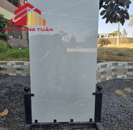 Gạch LÁT NỀN GLOSSY | 60X120cm 3059 - R4