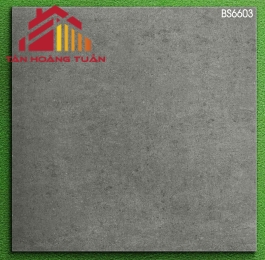 Gạch mờ 60x60 004