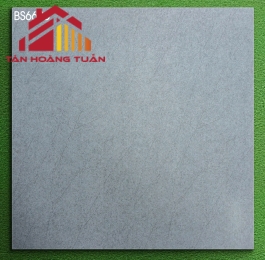 Gạch mờ 60x60 005