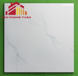 Gạch mờ 60x60 007