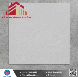 Gạch mờ 60x60 012