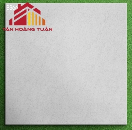 Gạch mờ 60x60 016