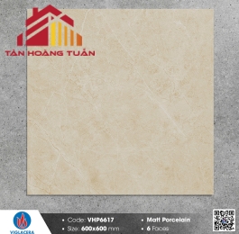 Gạch mờ 60x60 017
