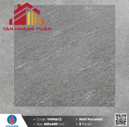 Gạch mờ 60x60 018