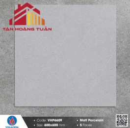 Gạch mờ 60x60 019