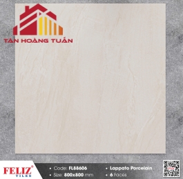 Gạch mờ 80x80 020