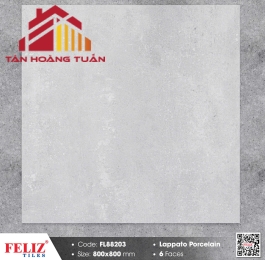 Gạch mờ 80x80 021