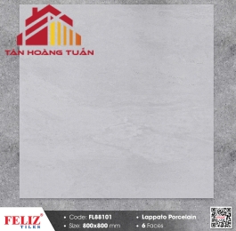 Gạch mờ 80x80 022