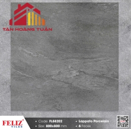 Gạch mờ 80x80 025