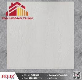 Gạch mờ 80x80 026