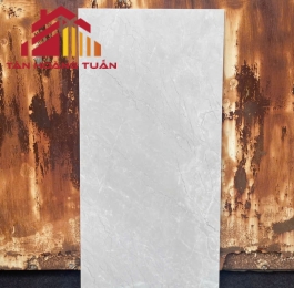 Gạch ốp tường 19 | 40x80