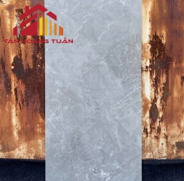 Gạch ốp tường 34 | 40x80