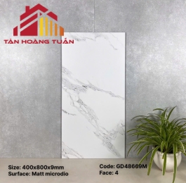 Gạch ốp tường 36 | 40x80