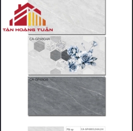 Gạch ốp tường 39 | 40x80