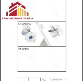 Gạch ốp tường 42 | 40x80