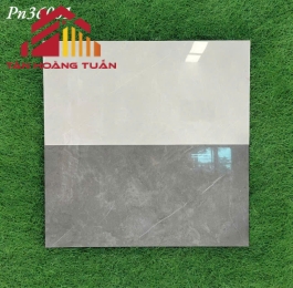 Gạch bóng kính 01 | 30x60