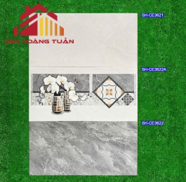 Gạch bóng kính 21 | 30x60