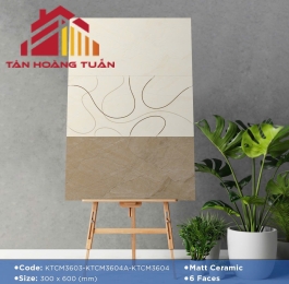 Gạch mờ 25 | 30x60