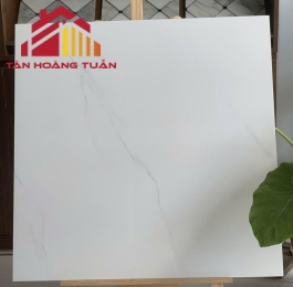 Gạch lát nền bóng kính 11 | 80x80 
