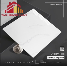 Gạch lát nền bóng kính 23 | 80x80 