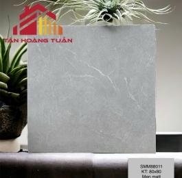 Gạch lát nền mờ 01 | 80x80 