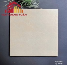 Gạch lát nền mờ 03 | 80x80 