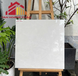 Gạch lát nền bóng kính 03 | 60x60 