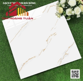 Gạch lát nền bóng kính 19 | 60x60 