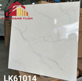 Gạch lát nền men 02 | 60x60 