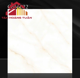 Gạch lát nền men 09 | 60x60 