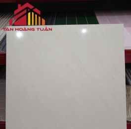 Gạch lát nền men 10 | 60x60 