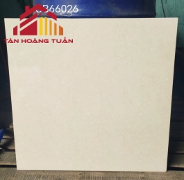 Gạch lát nền men 12 | 60x60 