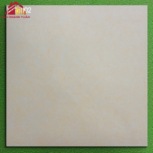 Gạch mờ 60x60 003