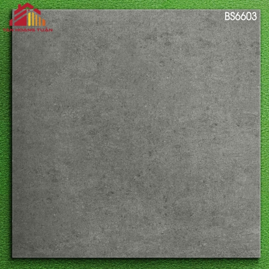 Gạch mờ 60x60 004