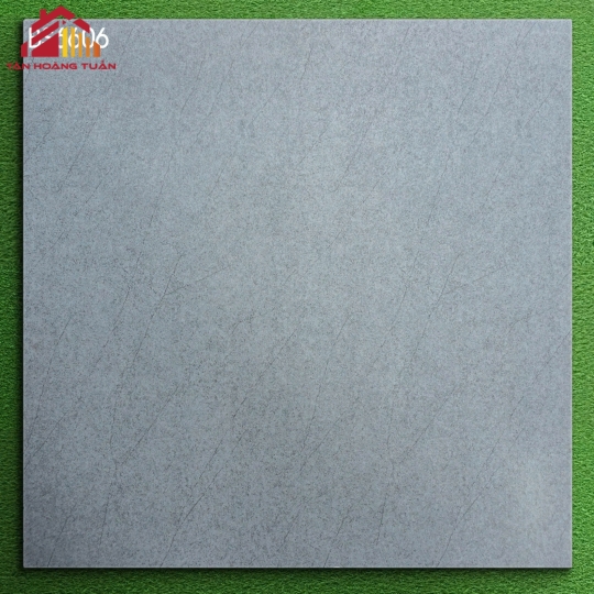 Gạch mờ 60x60 005