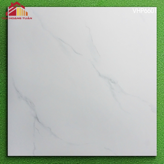 Gạch mờ 60x60 007