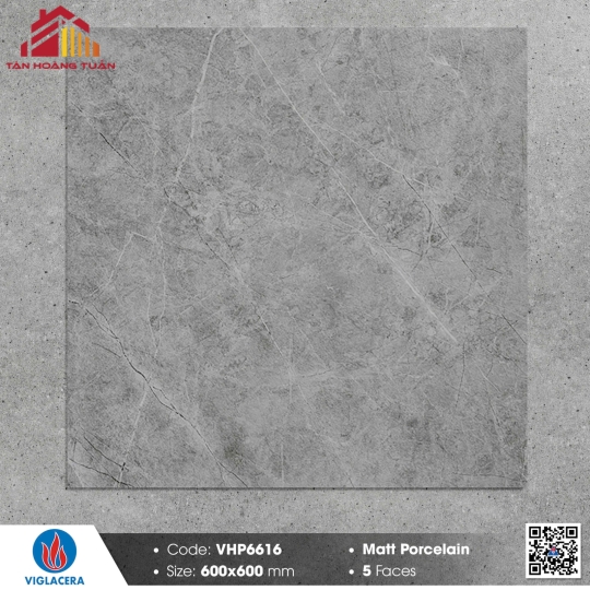 Gạch mờ 60x60 009