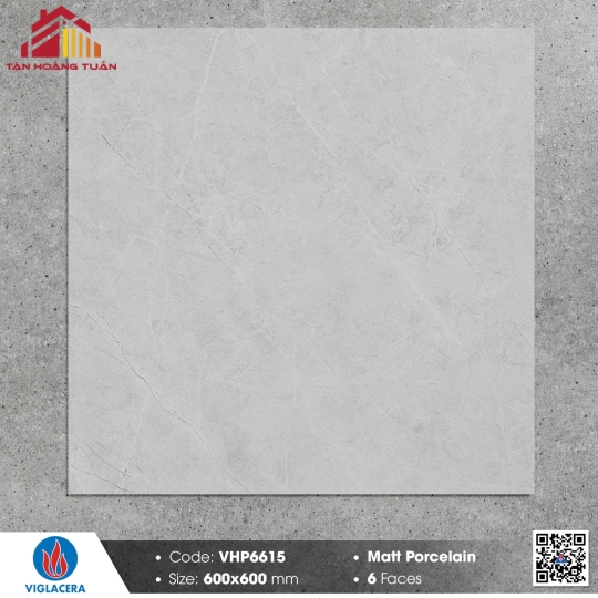 Gạch mờ 60x60 013