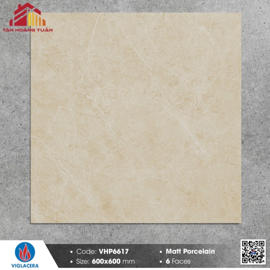 Gạch mờ 60x60 017