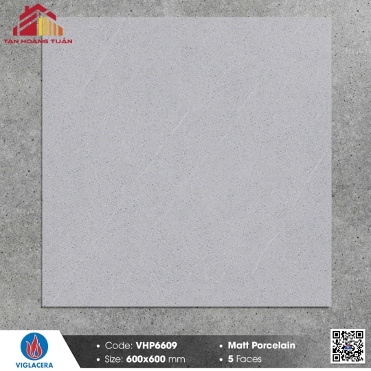 Gạch mờ 60x60 019