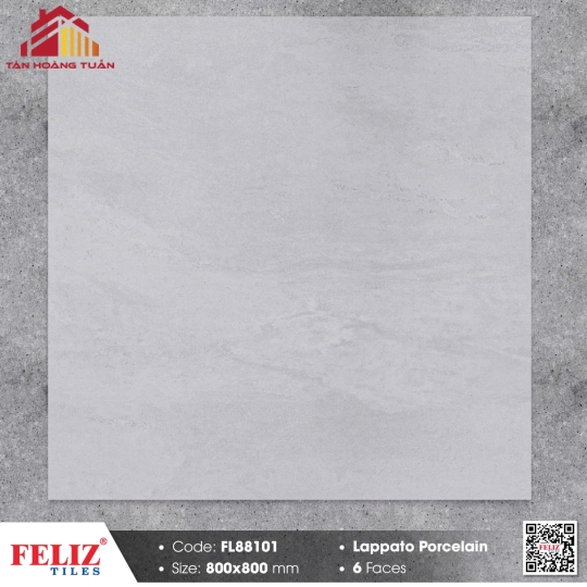 Gạch mờ 80x80 022