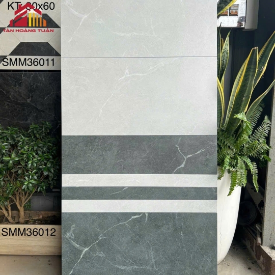 Gạch mờ 09 | 30x60