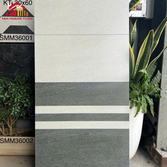 Gạch mờ 10 | 30x60