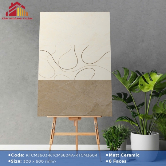 Gạch mờ 25 | 30x60