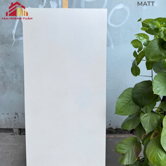 Gạch lát nền 25 | 60x1200