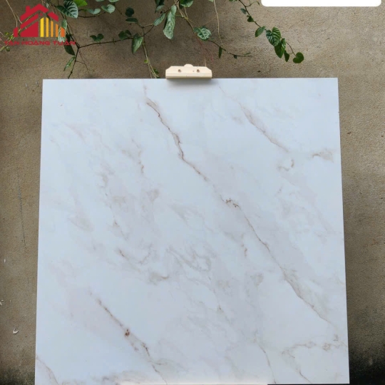 Gạch lát nền 06 | 1200x1200