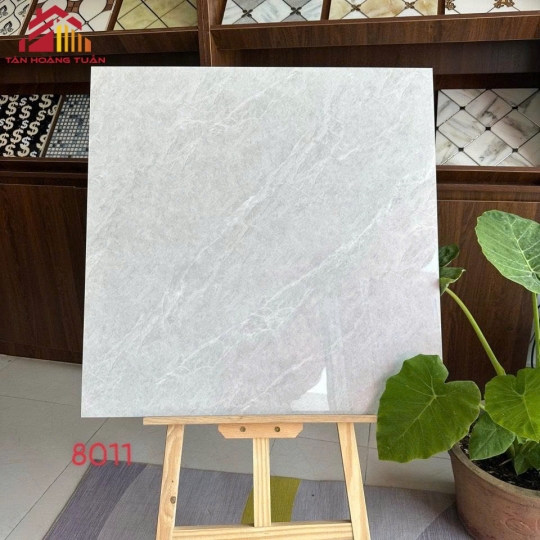 Gạch lát nền bóng kính 03 | 80x80 