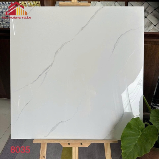 Gạch lát nền bóng kính 08 | 80x80 