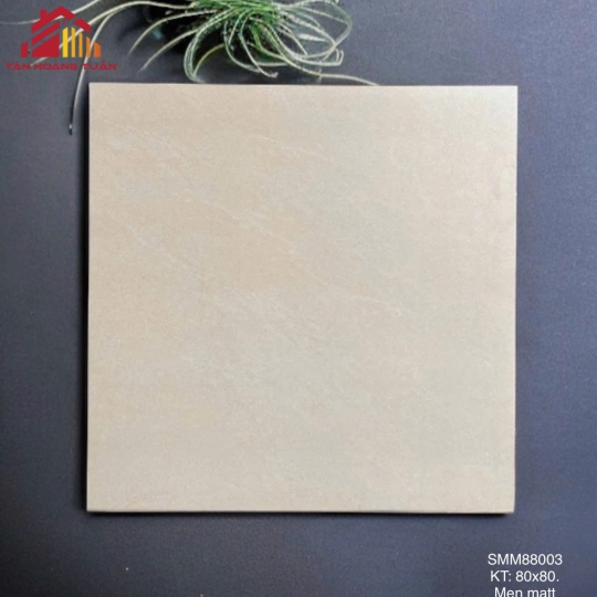 Gạch lát nền mờ 03 | 80x80 