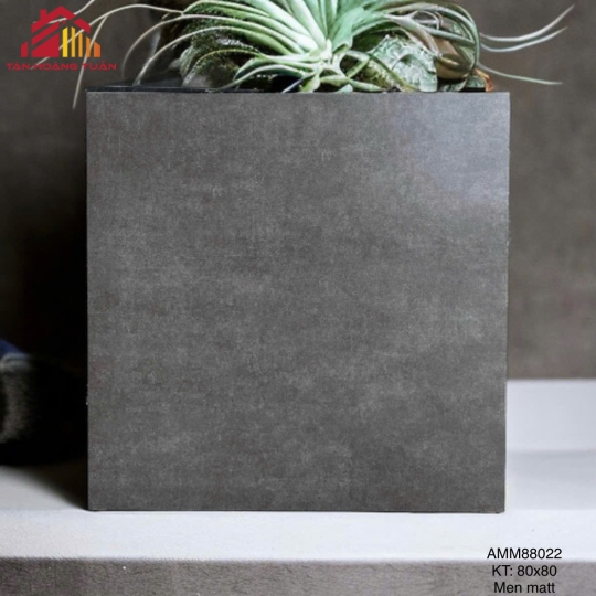 Gạch lát nền mờ 14 | 80x80 